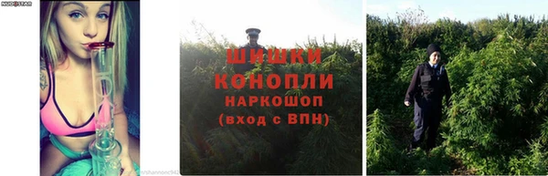 дистиллят марихуана Вязьма