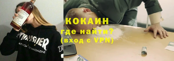 PSILOCYBIN Вяземский