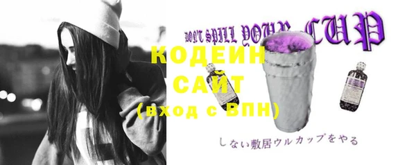 PSILOCYBIN Вяземский
