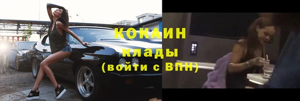 PSILOCYBIN Вяземский