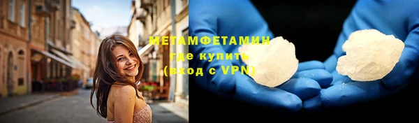 PSILOCYBIN Вяземский