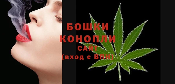 PSILOCYBIN Вяземский
