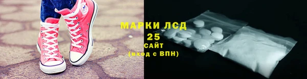 PSILOCYBIN Вяземский