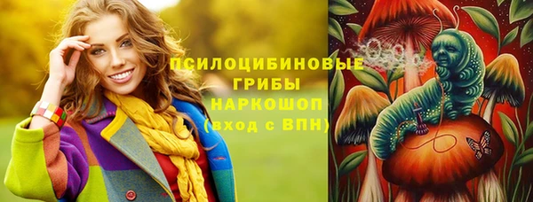 PSILOCYBIN Вяземский